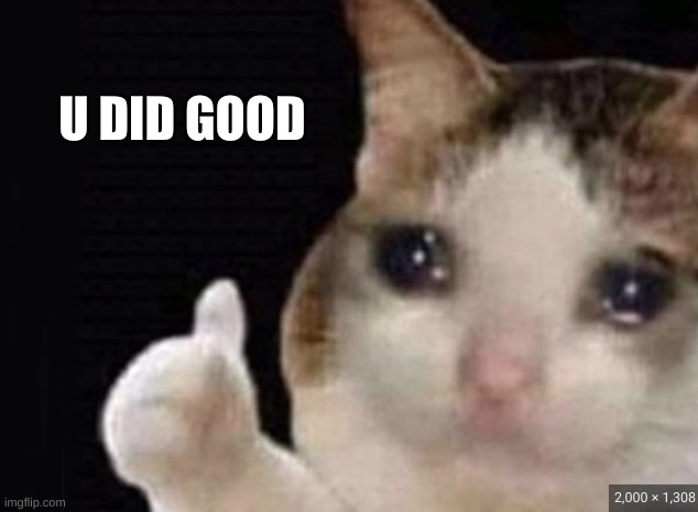 u did good | U DID GOOD | image tagged in cat,meme | made w/ Imgflip meme maker