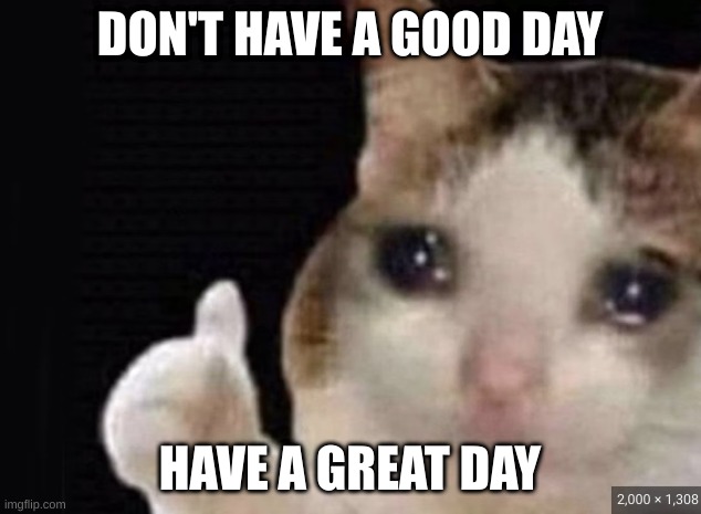 good day | DON'T HAVE A GOOD DAY; HAVE A GREAT DAY | image tagged in cat,meme | made w/ Imgflip meme maker