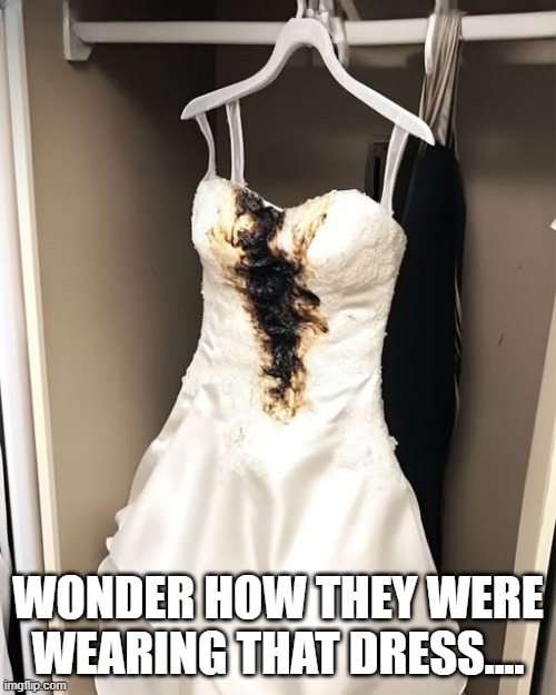 Odd Shart | WONDER HOW THEY WERE WEARING THAT DRESS.... | image tagged in cursed image | made w/ Imgflip meme maker