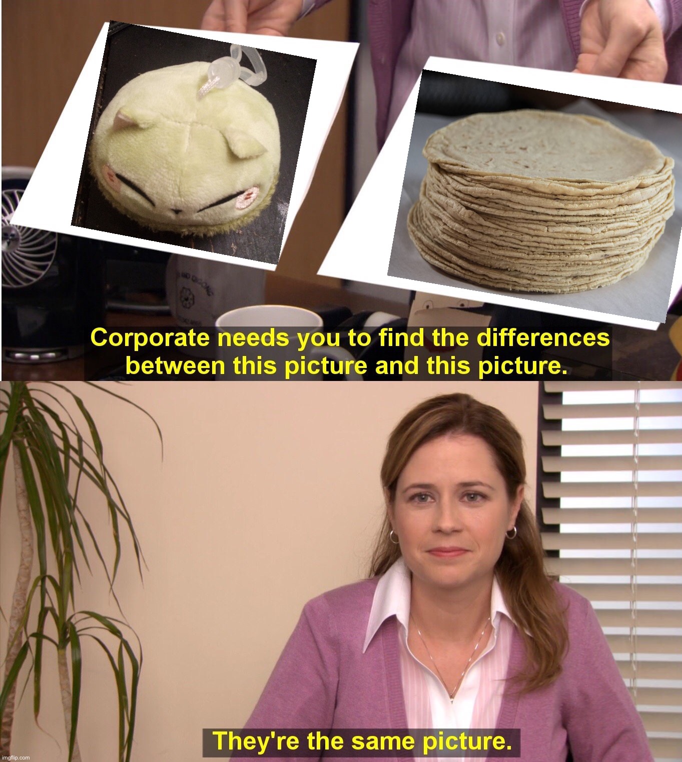 They're The Same Picture Meme | image tagged in memes,they're the same picture | made w/ Imgflip meme maker