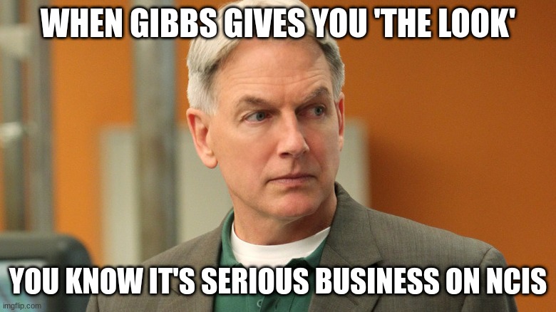 gibbs | WHEN GIBBS GIVES YOU 'THE LOOK'; YOU KNOW IT'S SERIOUS BUSINESS ON NCIS | image tagged in gibbs | made w/ Imgflip meme maker