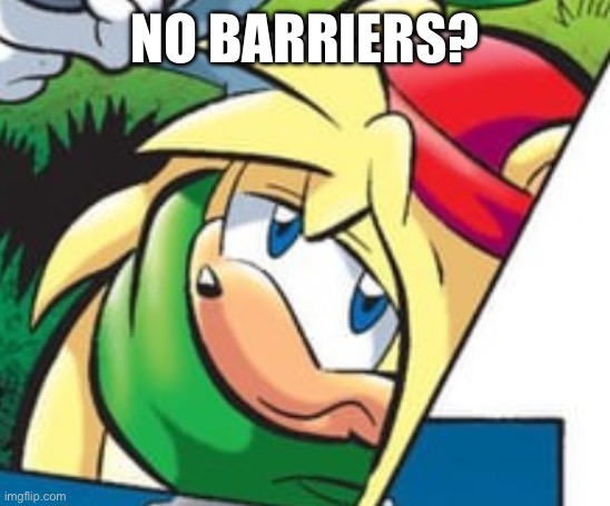 No Barriers? | NO BARRIERS? | image tagged in bark | made w/ Imgflip meme maker