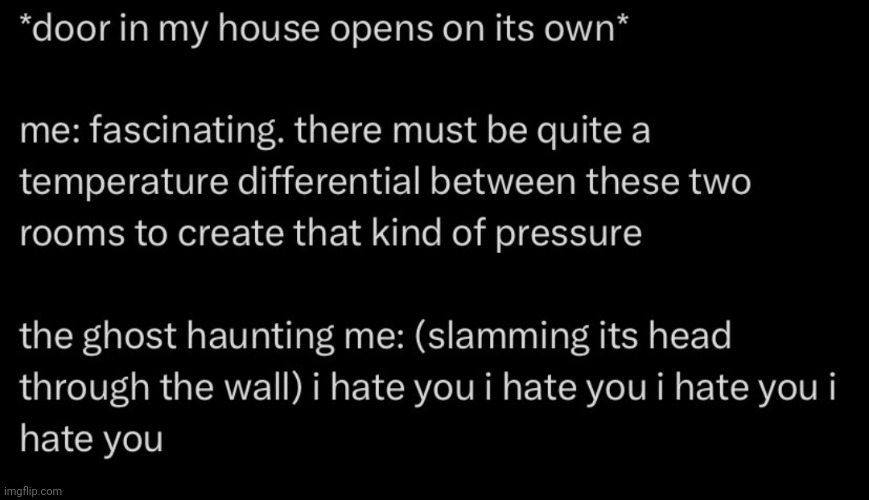 The Ghost | image tagged in ghost,ghosts,haunted,haunted house,funny,dark humour | made w/ Imgflip meme maker