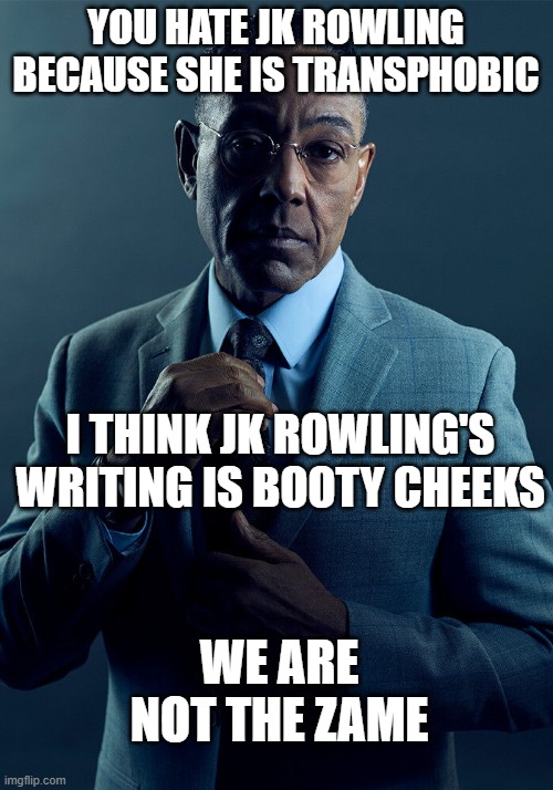 Gus Fring we are not the same | YOU HATE JK ROWLING BECAUSE SHE IS TRANSPHOBIC; I THINK JK ROWLING'S WRITING IS BOOTY CHEEKS; WE ARE NOT THE ZAME | image tagged in gus fring we are not the same | made w/ Imgflip meme maker