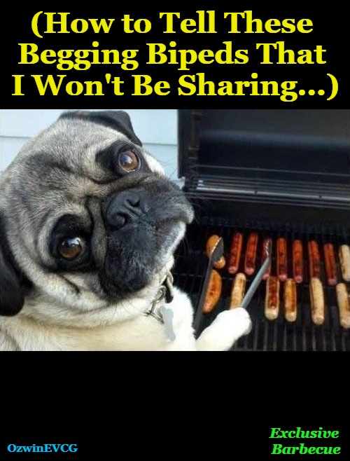 3EB3 | (How to Tell These 

Begging Bipeds That 

I Won't Be Sharing...); OzwinEVCG; Exclusive 

Barbecue | image tagged in dogs,funny,animals,tables have turned,bbq,awkward pictures | made w/ Imgflip meme maker