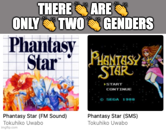 I fit more on the FM Sound side of the spectrum, how bout you guys? | THERE 👏 ARE 👏 ONLY 👏 TWO 👏 GENDERS | image tagged in phantasy star,gaming,retro,funny,meme,sega | made w/ Imgflip meme maker