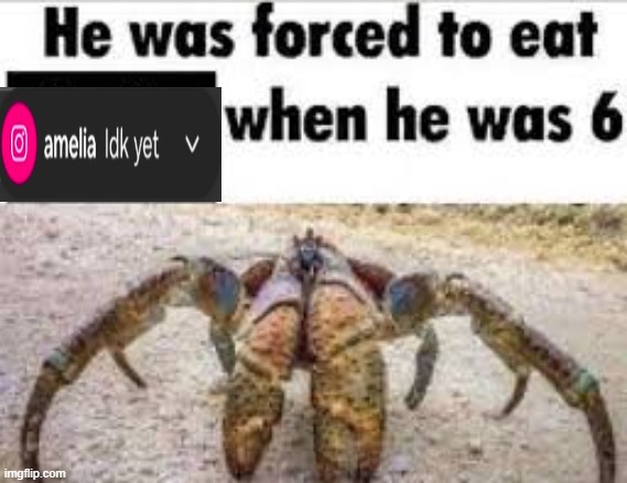 image tagged in amelia earhart crab | made w/ Imgflip meme maker