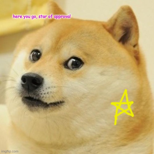 Doge Meme | here you go, star of approval | image tagged in memes,doge | made w/ Imgflip meme maker