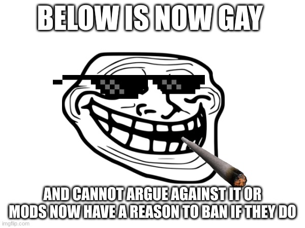 BELOW IS NOW GAY; AND CANNOT ARGUE AGAINST IT OR MODS NOW HAVE A REASON TO BAN IF THEY DO | made w/ Imgflip meme maker