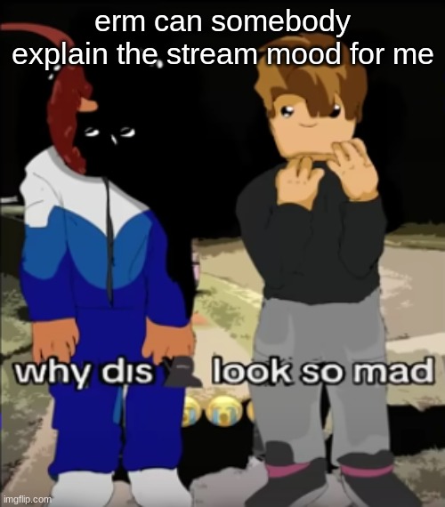 erm can somebody explain the stream mood for me | made w/ Imgflip meme maker