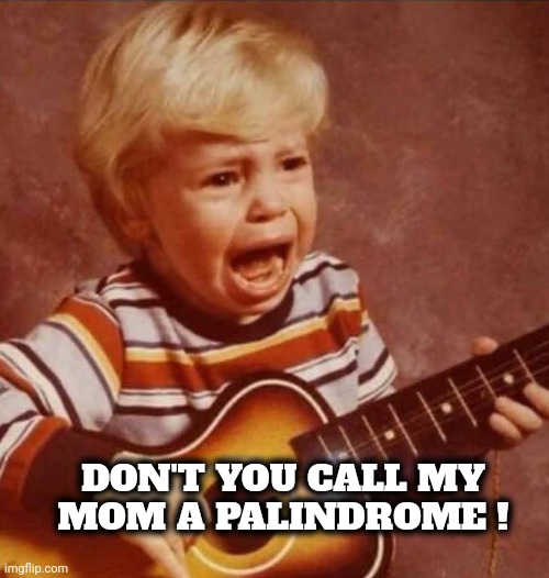 Guitar crying kid | DON'T YOU CALL MY
MOM A PALINDROME ! | image tagged in guitar crying kid | made w/ Imgflip meme maker