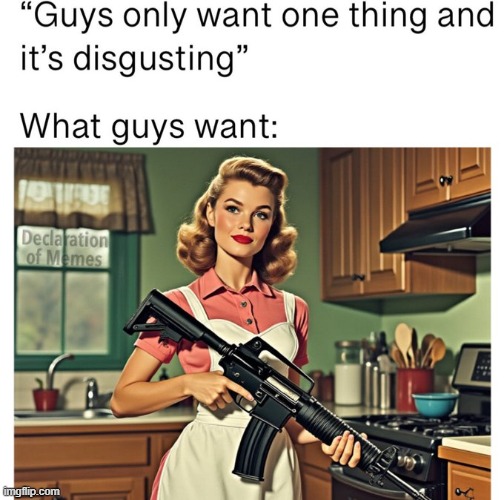 Well, maybe two.... | image tagged in guys,guns,girls with guns,lol,relatable | made w/ Imgflip meme maker