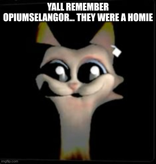 R.I.P | YALL REMEMBER OPIUMSELANGOR... THEY WERE A HOMIE | made w/ Imgflip meme maker