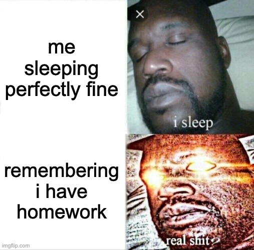 Sleeping Shaq Meme | me sleeping perfectly fine; remembering i have homework | image tagged in memes,sleeping shaq | made w/ Imgflip meme maker