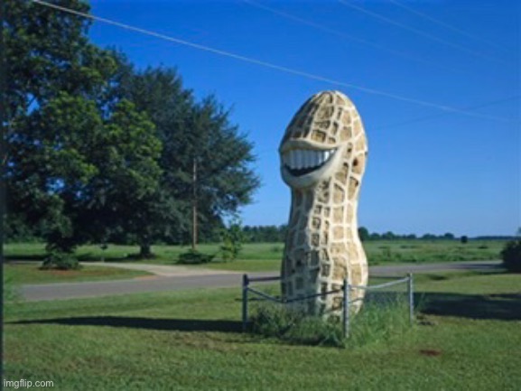 Jimmy Carter Peanut Statue :) | made w/ Imgflip meme maker