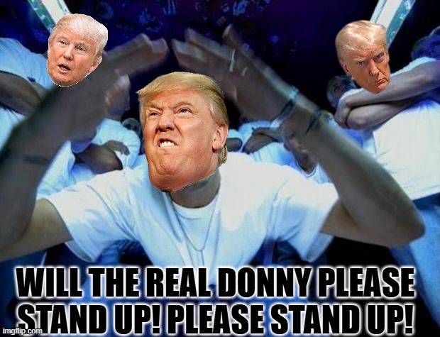 Real Slim Shady | WILL THE REAL DONNY PLEASE STAND UP! PLEASE STAND UP! | image tagged in real slim shady | made w/ Imgflip meme maker