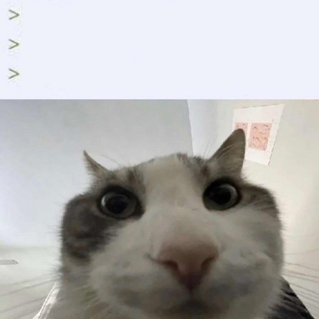 Looks Inside Blank Meme Template