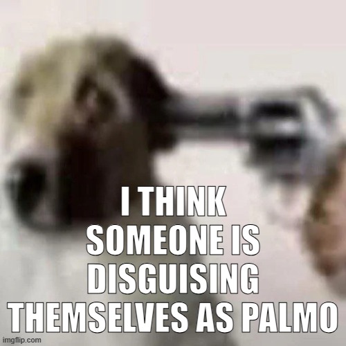 dog gunpoint | I THINK SOMEONE IS DISGUISING THEMSELVES AS PALMO | image tagged in dog gunpoint | made w/ Imgflip meme maker