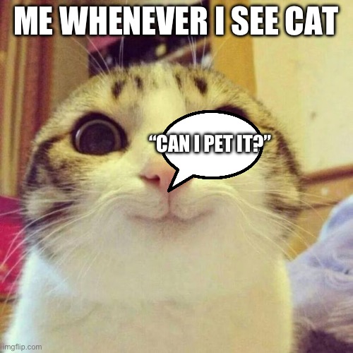 Smiling Cat | ME WHENEVER I SEE CAT; “CAN I PET IT?” | image tagged in memes,smiling cat | made w/ Imgflip meme maker