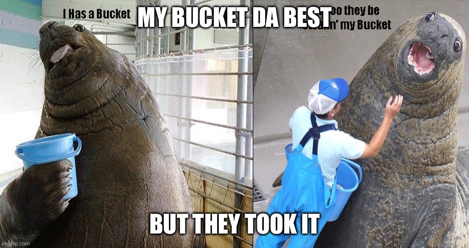 I Has A Bucket | MY BUCKET DA BEST; BUT THEY TOOK IT | image tagged in i has a bucket | made w/ Imgflip meme maker