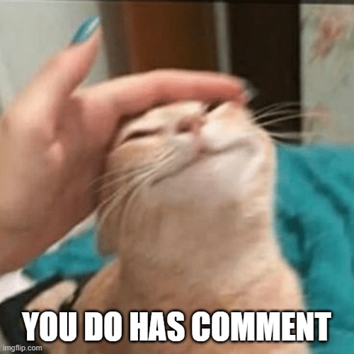 Pet the cat | YOU DO HAS COMMENT | image tagged in pet the cat | made w/ Imgflip meme maker