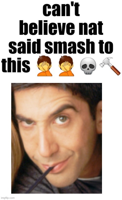 Can’t believe nat said smash to this | image tagged in can t believe nat said smash to this | made w/ Imgflip meme maker