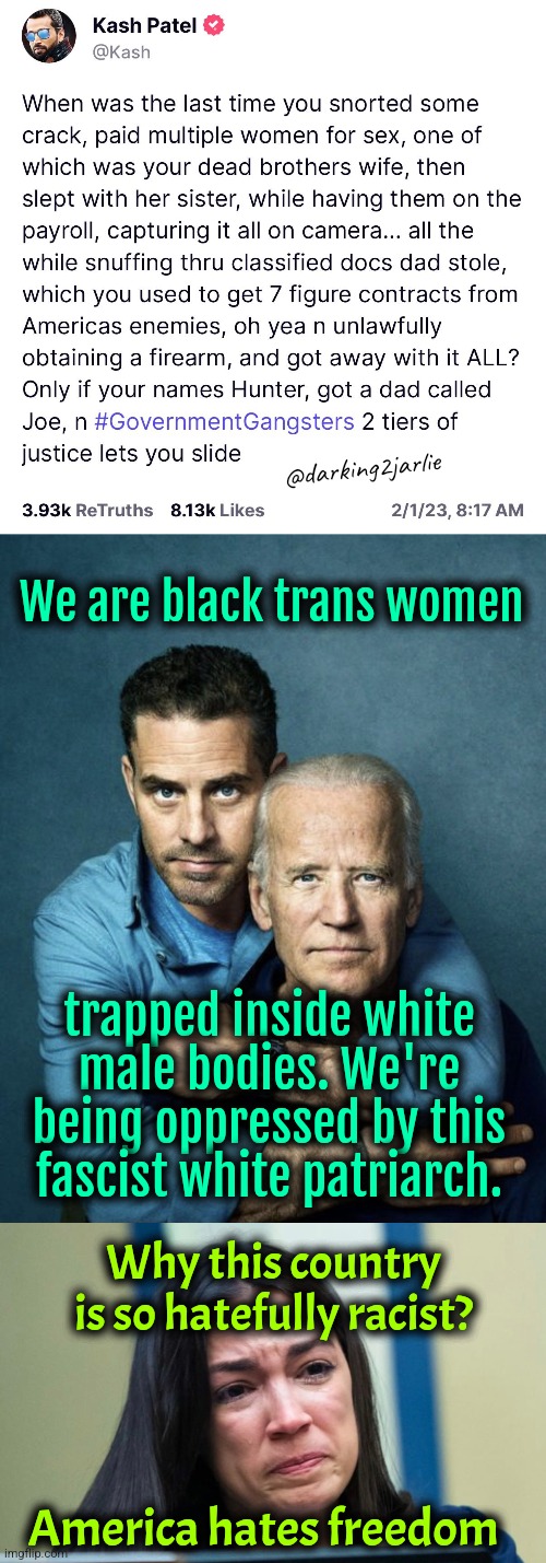 Pure Fascism #BLM | @darking2jarlie; We are black trans women; trapped inside white male bodies. We're being oppressed by this fascist white patriarch. Why this country is so hatefully racist? America hates freedom | image tagged in joe biden,hunter biden,trump,donald trump,liberal logic,college liberal | made w/ Imgflip meme maker