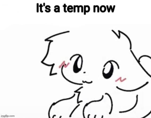 New temp just dropped | It's a temp now | image tagged in little boykisser | made w/ Imgflip meme maker