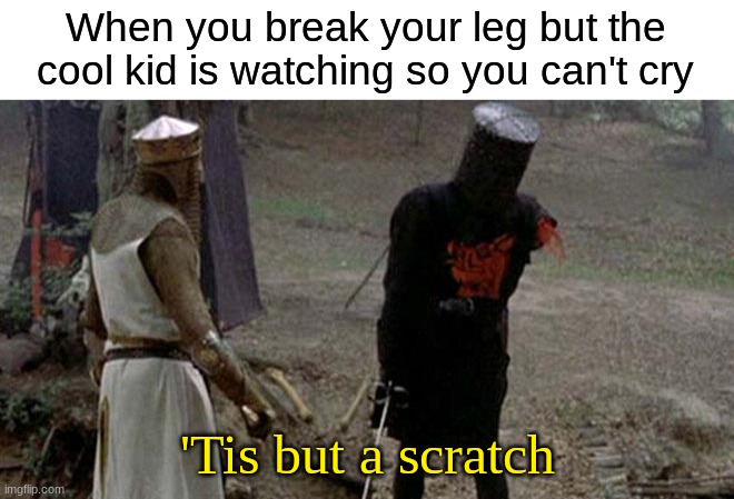 Tis but a scratch | When you break your leg but the cool kid is watching so you can't cry; 'Tis but a scratch | image tagged in tis but a scratch | made w/ Imgflip meme maker