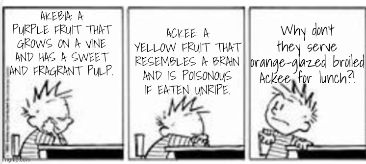 Fruit That Looks Like a Brain | AKEBIA: A PURPLE FRUIT THAT GROWS ON A VINE AND HAS A SWEET AND FRAGRANT PULP. Why don't they serve orange-glazed broiled Ackee for lunch?! ACKEE: A YELLOW FRUIT THAT RESEMBLES A BRAIN AND IS POISONOUS IF EATEN UNRIPE. | image tagged in calvin and hobbes,fruit,brains,school lunch | made w/ Imgflip meme maker