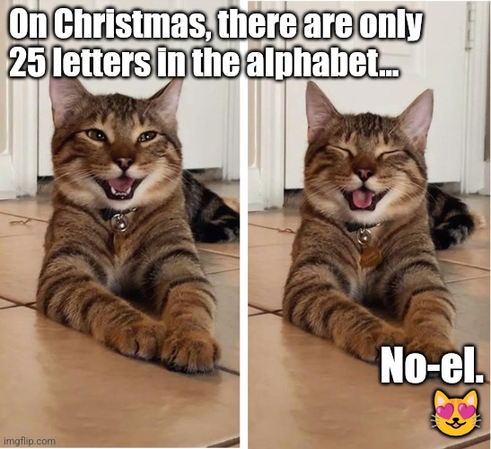 Christmas Dad Joke Cat | On Christmas, there are only 
25 letters in the alphabet... No-el.
😻 | image tagged in smiling cat bad dad joke template 2,dad joke,cats,christmas memes,funny | made w/ Imgflip meme maker