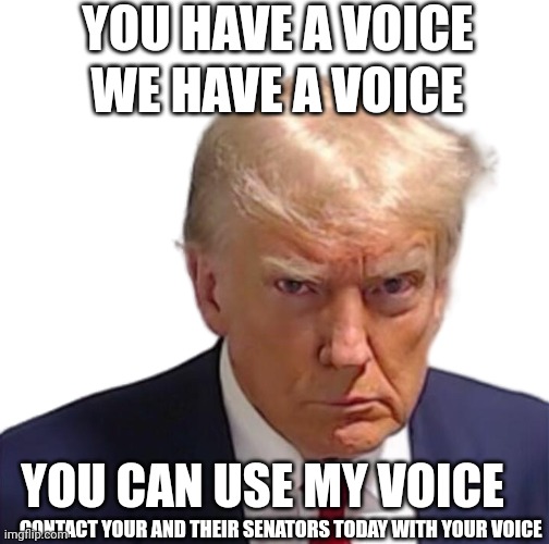 Sing! Sing Out Loud!!! | YOU HAVE A VOICE; WE HAVE A VOICE; YOU CAN USE MY VOICE; CONTACT YOUR AND THEIR SENATORS TODAY WITH YOUR VOICE | image tagged in trump mugshot,pop music,smears and tears,keep pounding | made w/ Imgflip meme maker