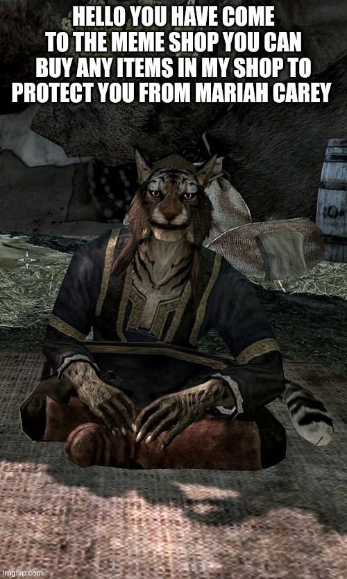 Khajiit | HELLO YOU HAVE COME TO THE MEME SHOP YOU CAN BUY ANY ITEMS IN MY SHOP TO PROTECT YOU FROM MARIAH CAREY | image tagged in khajiit | made w/ Imgflip meme maker