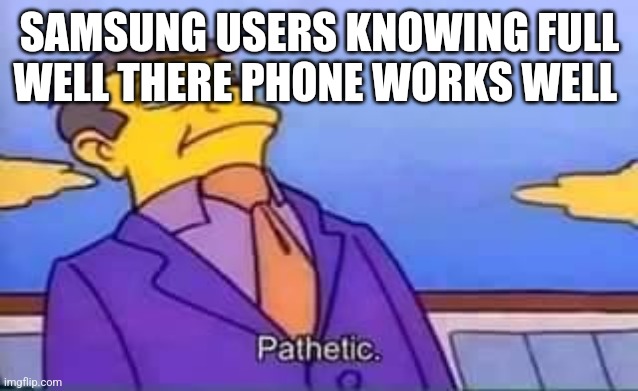 skinner pathetic | SAMSUNG USERS KNOWING FULL WELL THERE PHONE WORKS WELL | image tagged in skinner pathetic | made w/ Imgflip meme maker