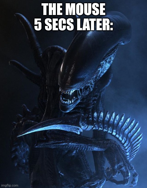 Alien Xenomorph | THE MOUSE 5 SECS LATER: | image tagged in alien xenomorph | made w/ Imgflip meme maker