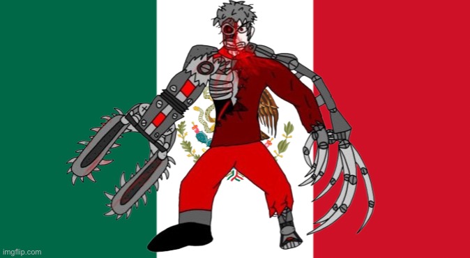 Mepios Mexico flag | image tagged in funny,mexico,mepios | made w/ Imgflip meme maker