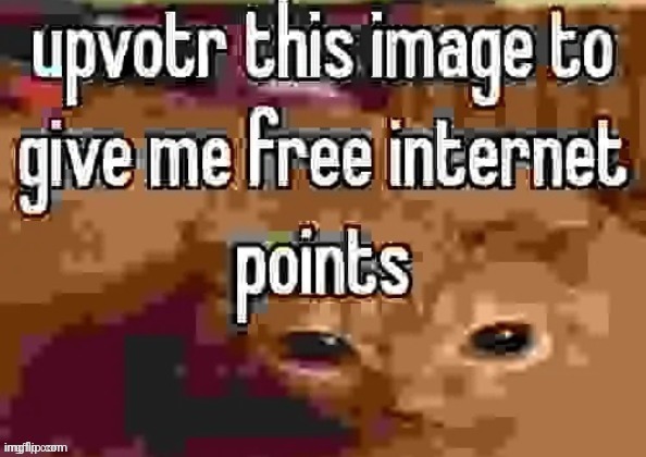 free internet points | image tagged in free internet points,memes,msmg,upvotes,upvote | made w/ Imgflip meme maker