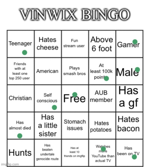 Didn't know Vinwix has a gf | image tagged in vinwix bingo,memes,bingo,girlfriend | made w/ Imgflip meme maker