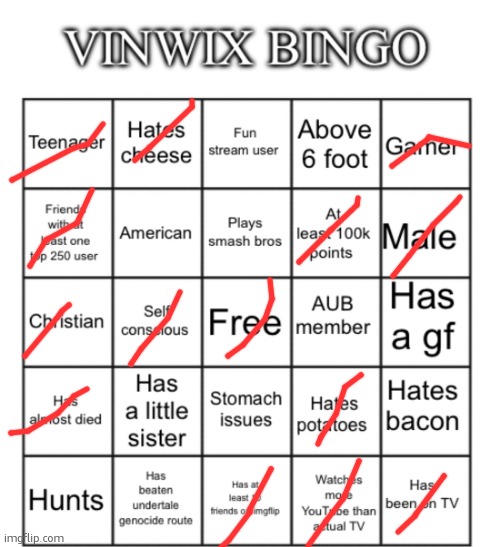 VinWix bingo | image tagged in vinwix bingo | made w/ Imgflip meme maker