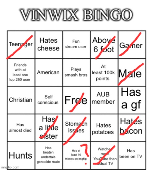 VinWix bingo | image tagged in vinwix bingo | made w/ Imgflip meme maker