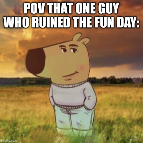 The ruined fun day… | POV THAT ONE GUY WHO RUINED THE FUN DAY: | image tagged in chill guy | made w/ Imgflip meme maker