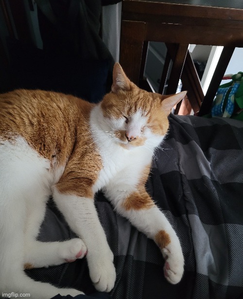 the missile is very sleepy | made w/ Imgflip meme maker