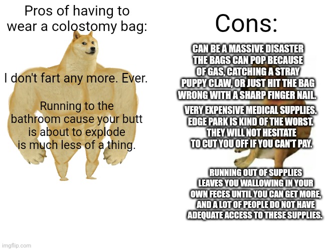 Make them exhaust ALL options before surgery. | Cons:; Pros of having to wear a colostomy bag:; CAN BE A MASSIVE DISASTER THE BAGS CAN POP BECAUSE OF GAS, CATCHING A STRAY PUPPY CLAW, OR JUST HIT THE BAG WRONG WITH A SHARP FINGER NAIL. I don't fart any more. Ever. VERY EXPENSIVE MEDICAL SUPPLIES. 
EDGE PARK IS KIND OF THE WORST. 
THEY WILL NOT HESITATE TO CUT YOU OFF IF YOU CAN'T PAY. Running to the bathroom cause your butt is about to explode is much less of a thing. RUNNING OUT OF SUPPLIES LEAVES YOU WALLOWING IN YOUR OWN FECES UNTIL YOU CAN GET MORE, AND A LOT OF PEOPLE DO NOT HAVE ADEQUATE ACCESS TO THESE SUPPLIES. | image tagged in memes,buff doge vs cheems | made w/ Imgflip meme maker