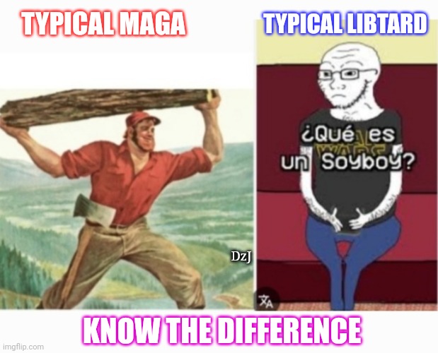 Are You A Soylord? | TYPICAL LIBTARD; TYPICAL MAGA; DzJ; KNOW THE DIFFERENCE | image tagged in libtard,morons,beta,cuck,soyboy vs yes chad,losers | made w/ Imgflip meme maker