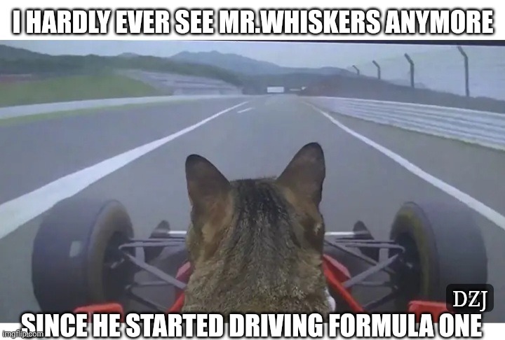 Cat Racer | I HARDLY EVER SEE MR.WHISKERS ANYMORE; DZJ; SINCE HE STARTED DRIVING FORMULA ONE | image tagged in lolcats,speed racer | made w/ Imgflip meme maker