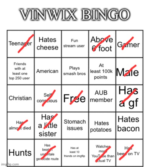 VinWix bingo | image tagged in vinwix bingo | made w/ Imgflip meme maker