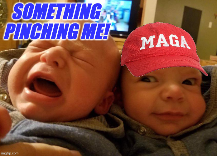 Well, pinch it back! | SOMETHING PINCHING ME! | image tagged in memes,maga | made w/ Imgflip meme maker