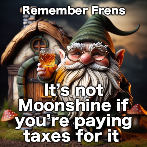 Remember Frens; It’s not Moonshine if you’re paying taxes for it | made w/ Imgflip meme maker