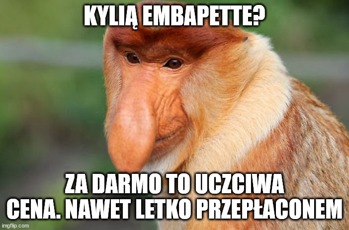 nosacz | KYLIĄ EMBAPETTE? ZA DARMO TO UCZCIWA CENA. NAWET LETKO PRZEPŁACONEM | image tagged in nosacz | made w/ Imgflip meme maker
