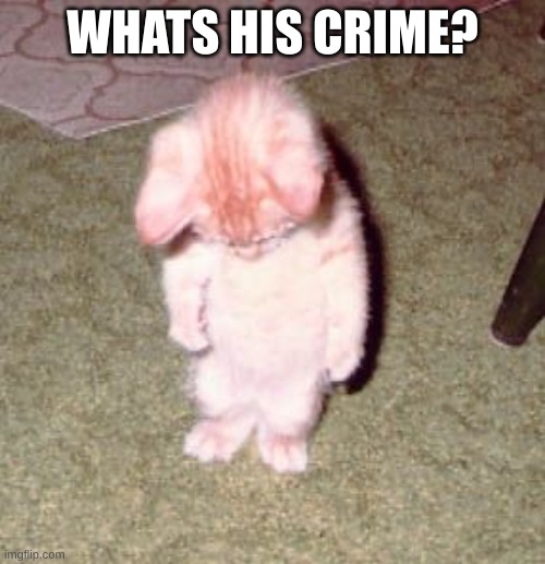 Sorry for | WHATS HIS CRIME? | image tagged in sorry for | made w/ Imgflip meme maker